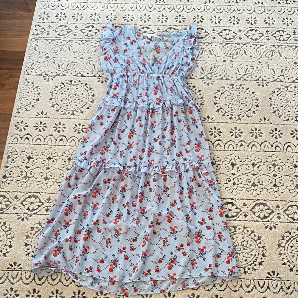Emma & Michele Floral Maxi Dress - Light Blue and Red
